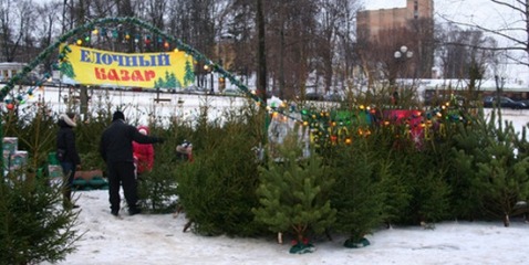 В Москве открылись ёлочные базары